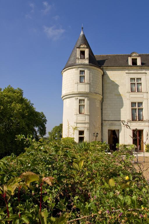 Chateau De Chissay, Hotel De Charme Pres De Chenonceau Et Le Zoo De Beauval Экстерьер фото